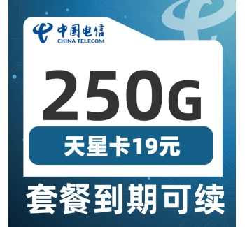 电信天星卡19元250G