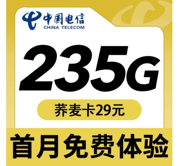 电信荞麦卡29元235G