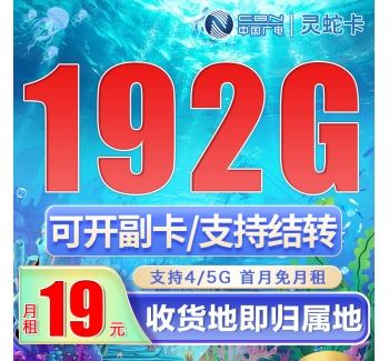 广电灵蛇卡19元192G通用流量（流量支持结转）+可选号