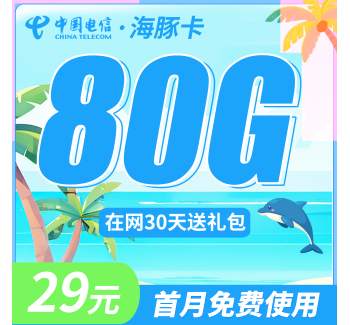 电信海豚卡29元80G