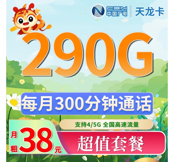 广电天龙卡38元290G+300分钟