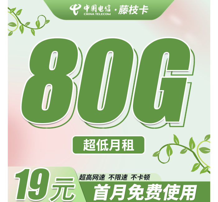 电信藤枝卡19元80G+首月免费！