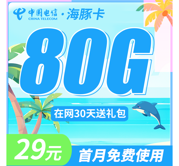 电信海豚卡29元80G